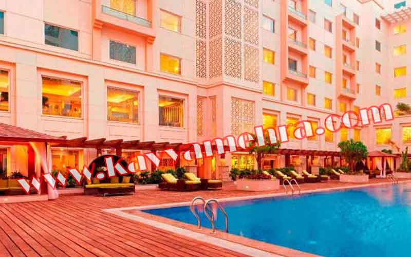 Hotel Aerocity Golden escorts